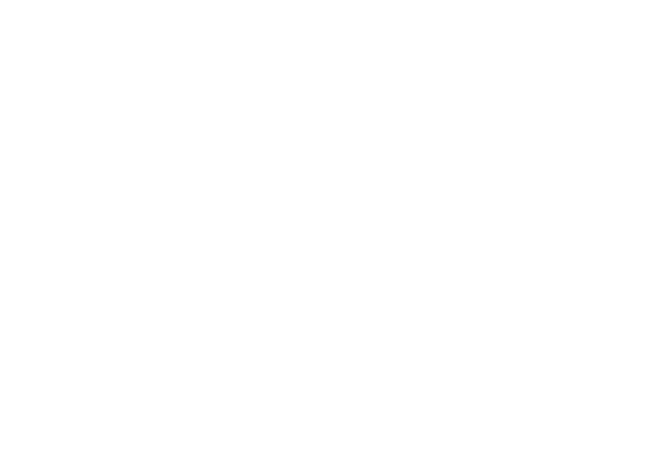 UGA Logo